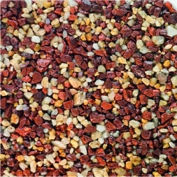 carnival sample
