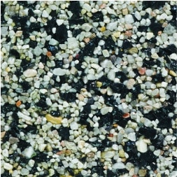 oyster sample